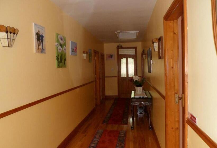 膳宿费 Rosslare Strand Rooms Only Accommodation