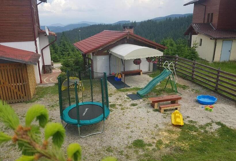 Пансион Vila Stefana Paltinis