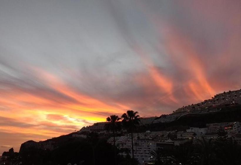 Apartamentos Mayagüez Adults Only