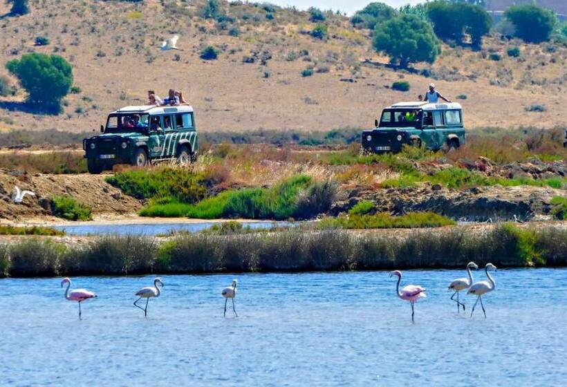 住宿加早餐  Calcada Guesthouse