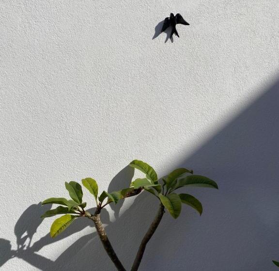 住宿加早餐  Residencial Arabi