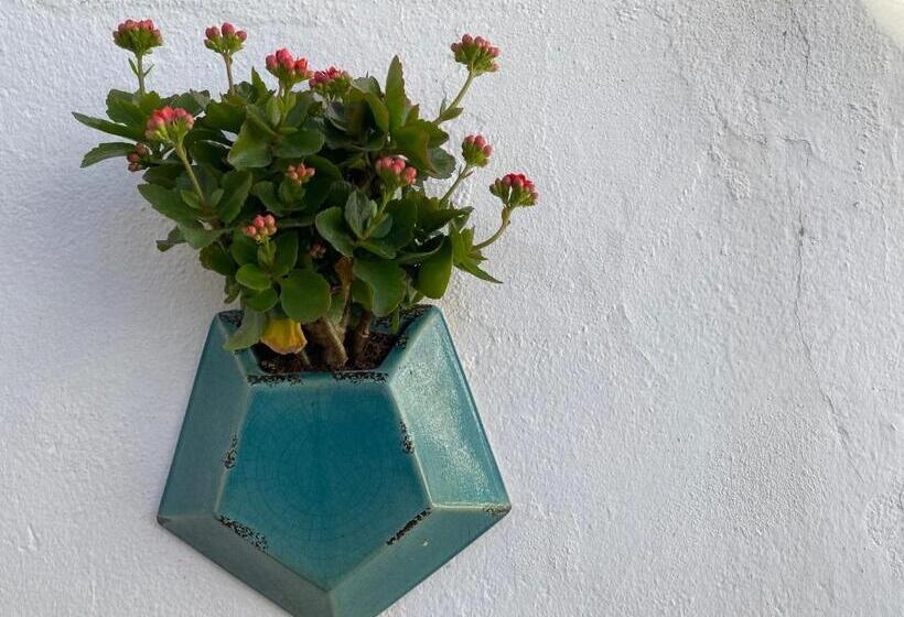 住宿加早餐  Residencial Arabi