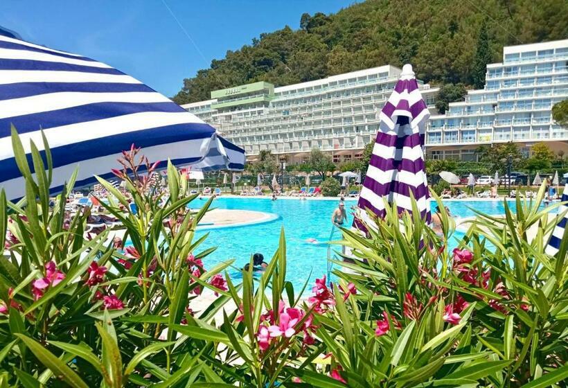 Hedera   Maslinica Hotels & Resorts
