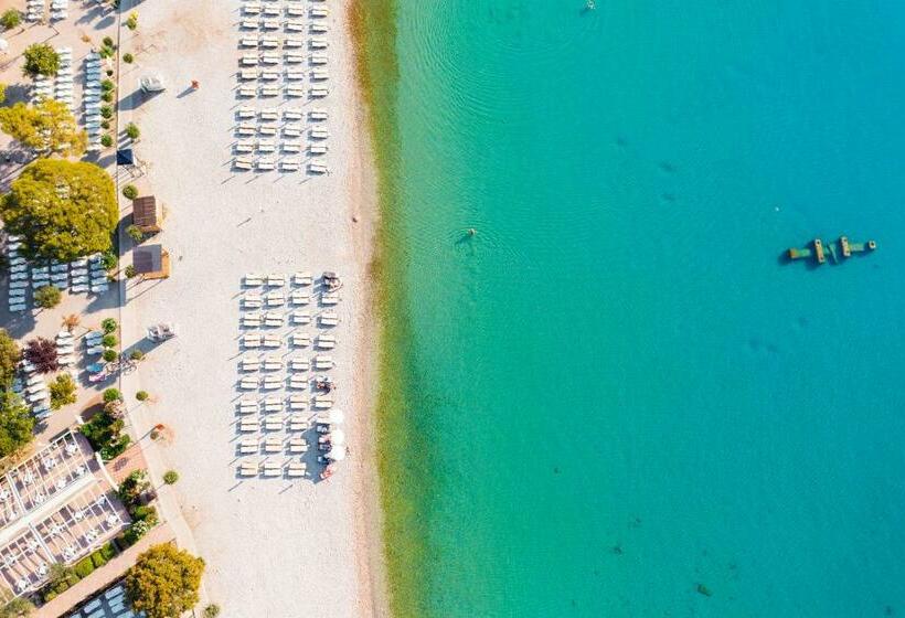 Hedera   Maslinica Hotels & Resorts