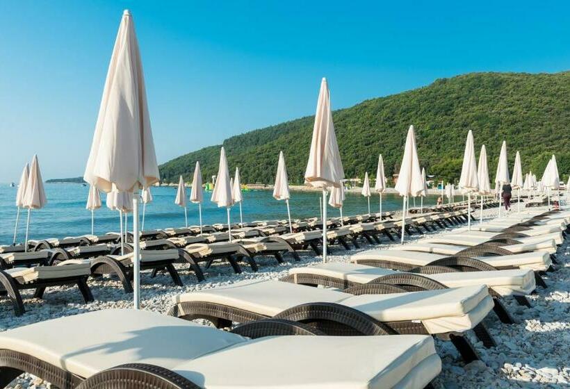 Hedera   Maslinica Hotels & Resorts