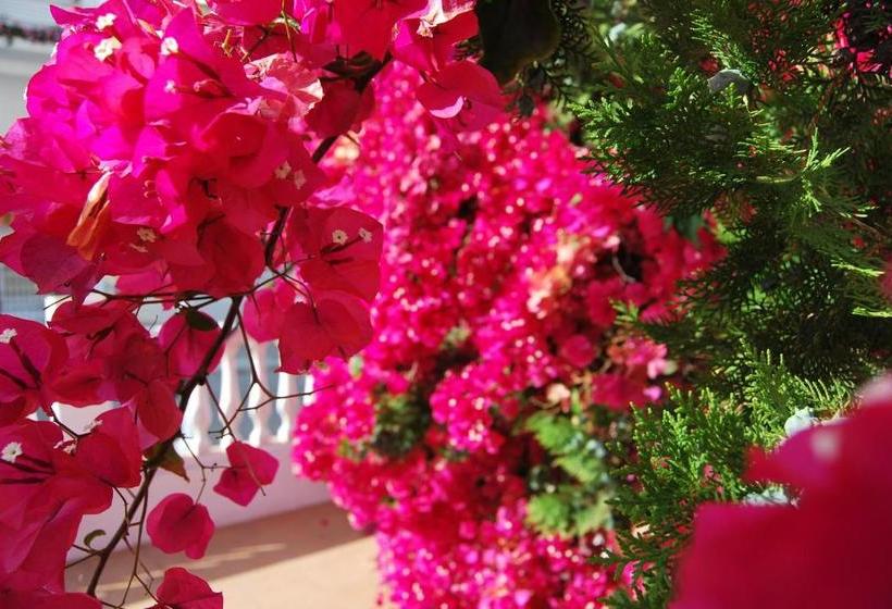 Hostal Avenida By Bossh! Hotels