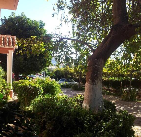 פונדק El Tio Mateo