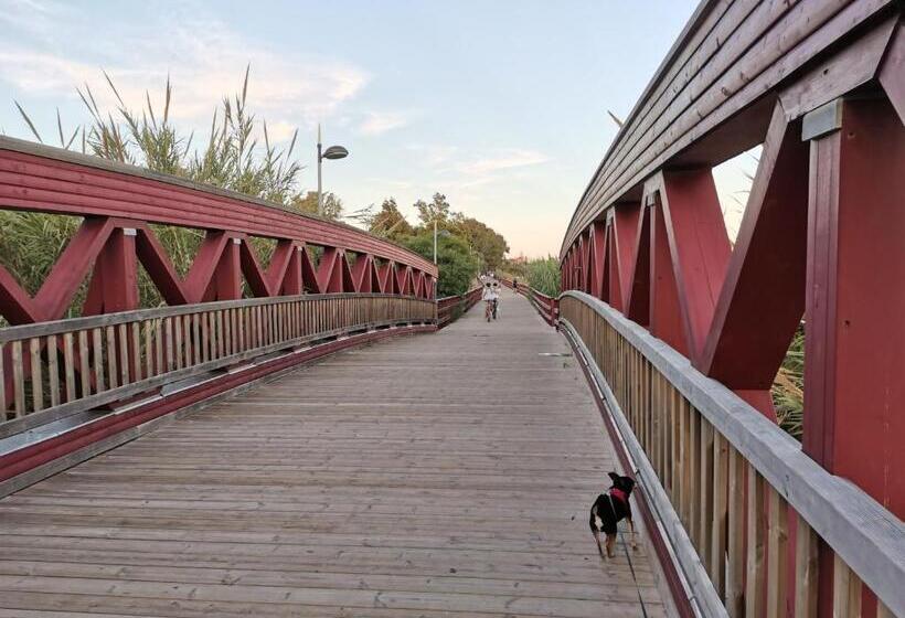 פונדק El Tio Mateo