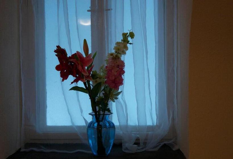 فندق فئة نجمة واحدة Garden House