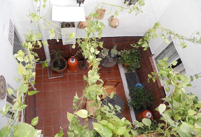 مسافرخانه Pensión Santa María La Blanca