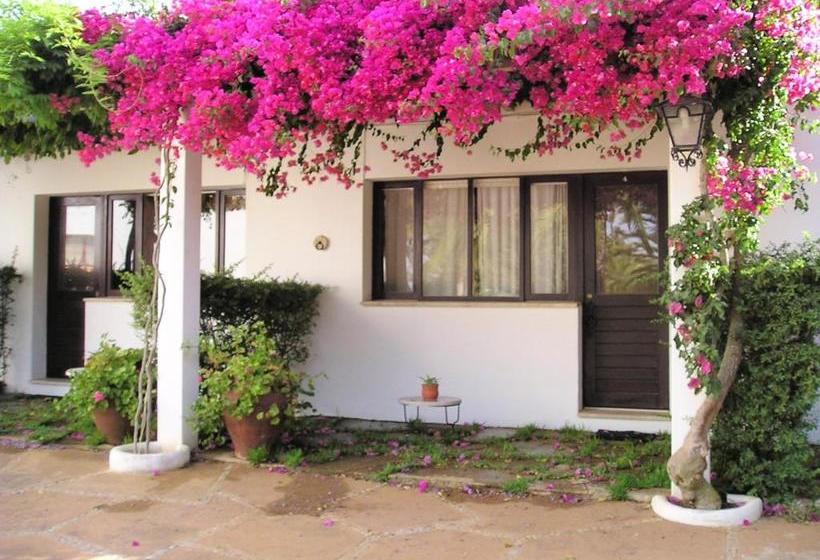 فندق فئة نجمة واحدة Quinta Da Ameijeira