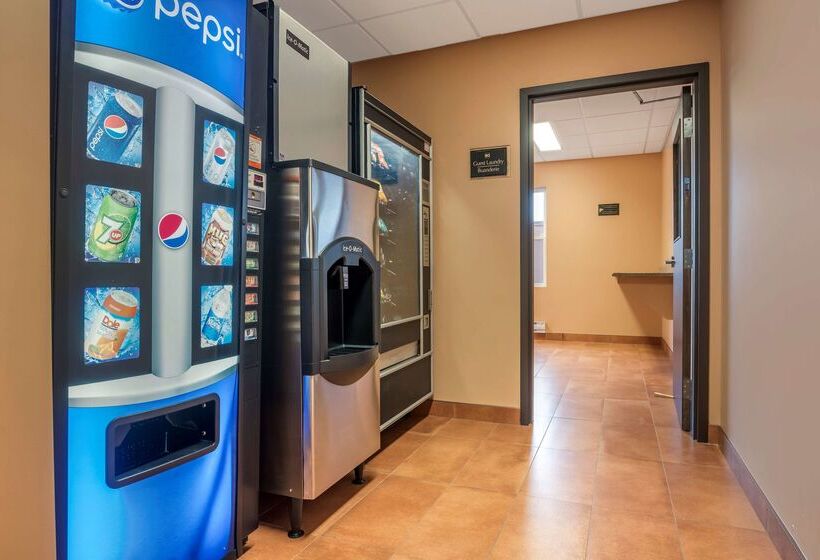 Best Western Plus, Bathurst Hotel & Suites