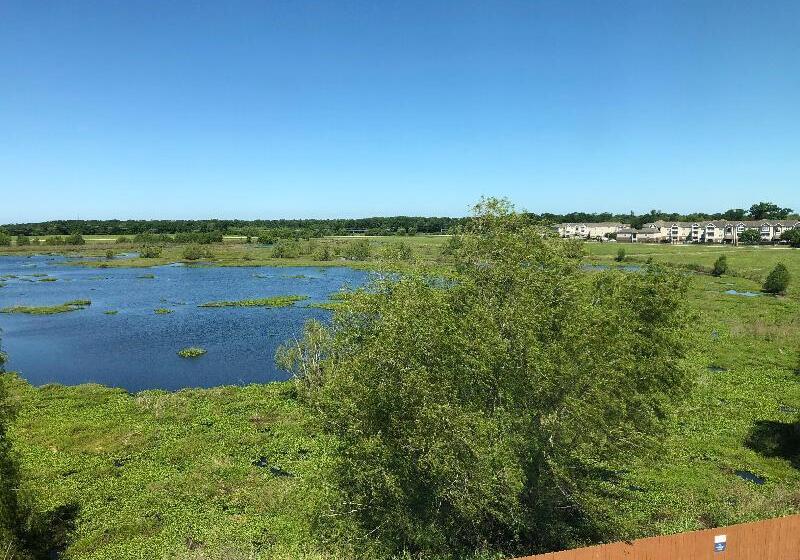 Отель Candlewood Suites Houma, An Ihg