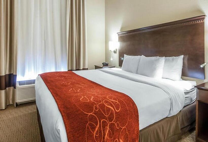 בית מלון כפרי Comfort Suites Marietta Parkersburg