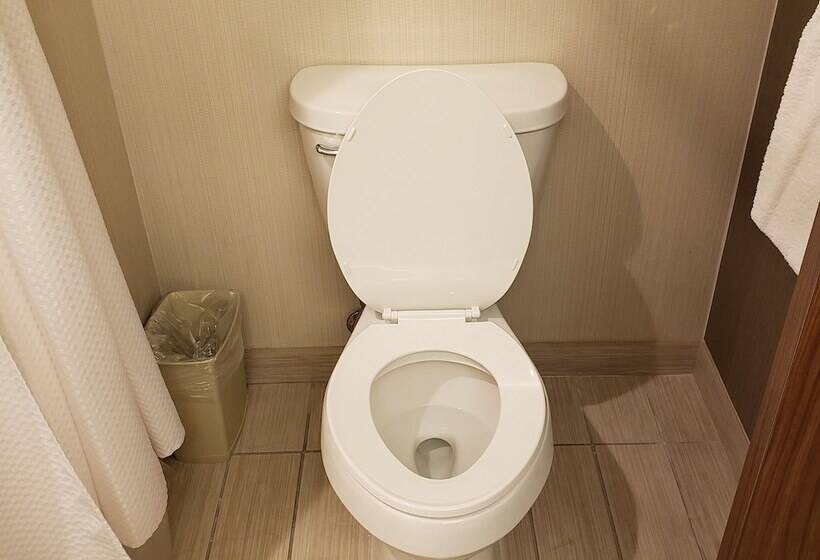 فندق Courtyard By Marriott Battle Creek