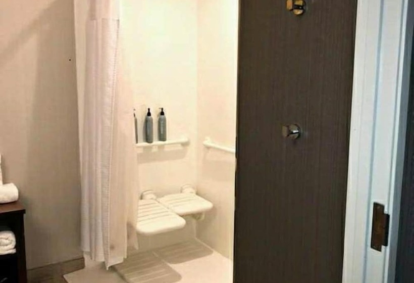 فندق Courtyard By Marriott Battle Creek