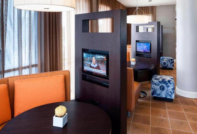 فندق Courtyard By Marriott Houston North/shenandoah