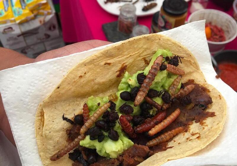 Отель Downtown Beds