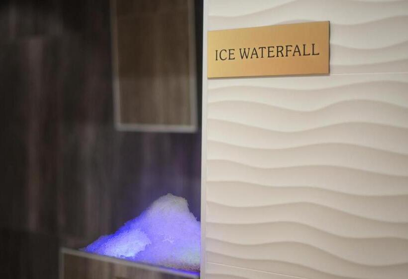 Hedera   Maslinica Hotels & Resorts