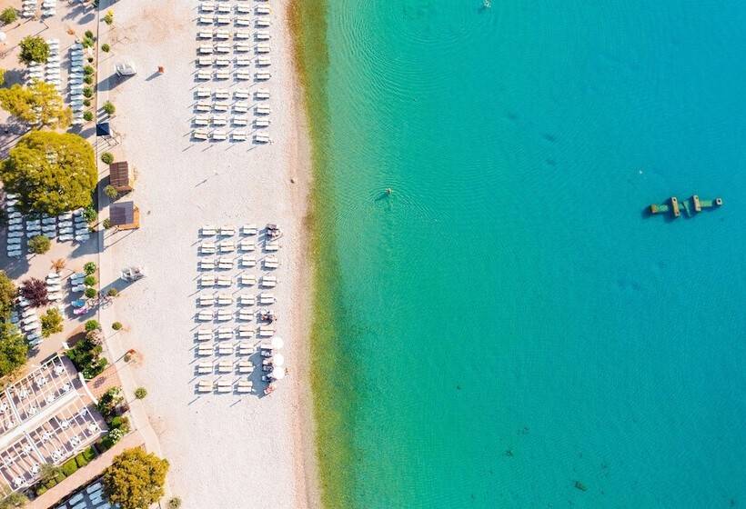 Hedera   Maslinica Hotels & Resorts