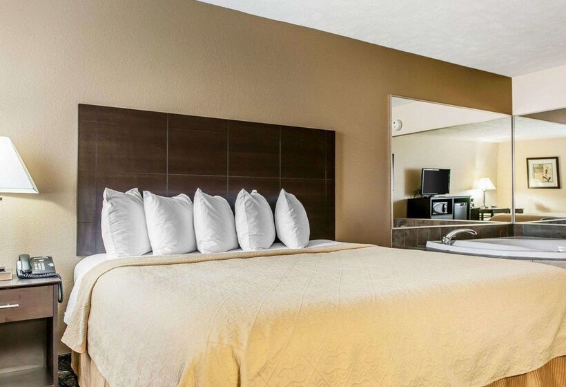 فندق Quality Inn & Suites