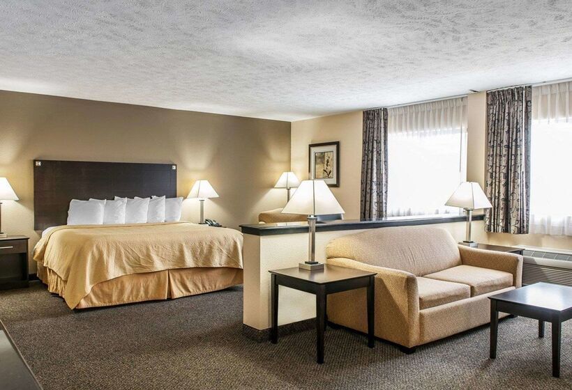 ホテル Quality Inn & Suites