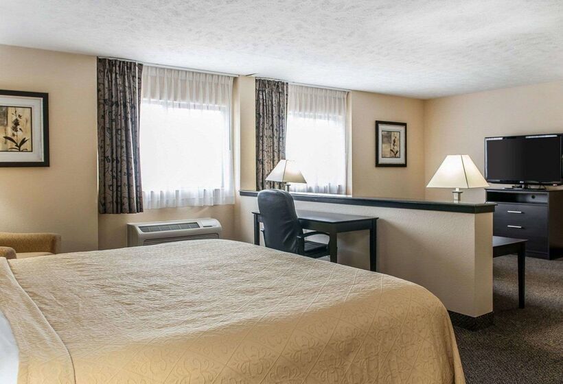 酒店 Quality Inn & Suites
