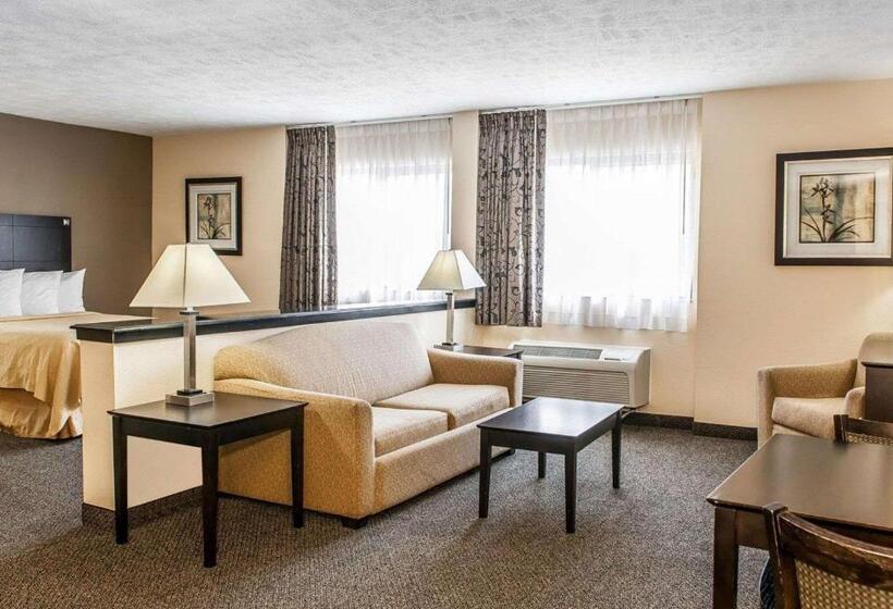 酒店 Quality Inn & Suites