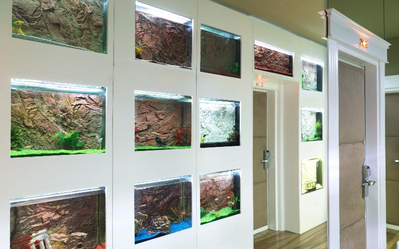 هتل Le Rêve De Naim Roma