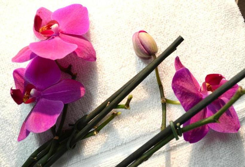 Vienna Inn Apartments