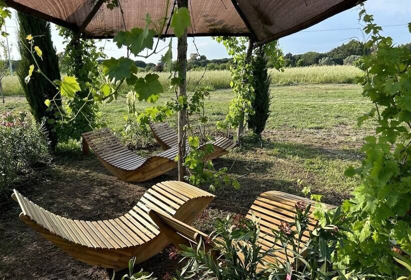 Fattoria Palazzeta Pet & Family Friendly