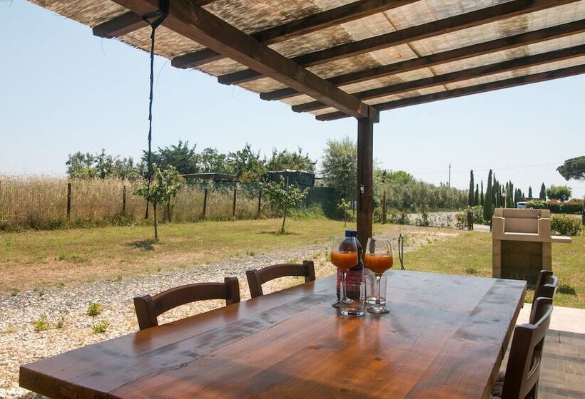 Fattoria Palazzeta Pet & Family Friendly