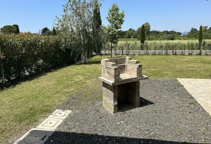 Fattoria Palazzeta Pet & Family Friendly