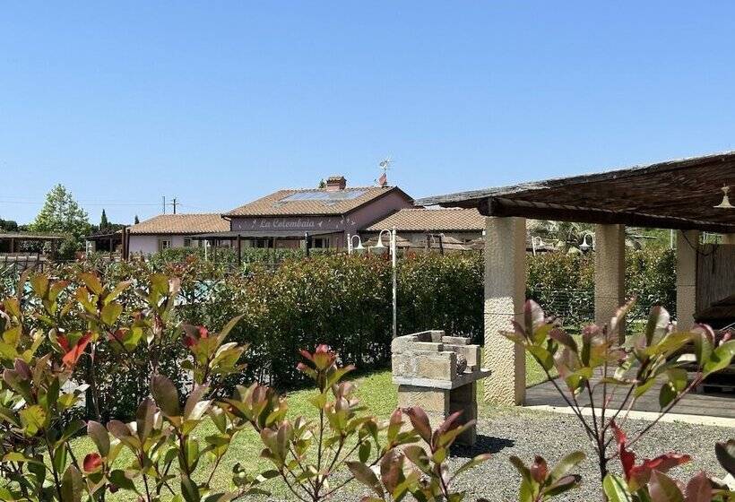 Fattoria Palazzeta Pet & Family Friendly