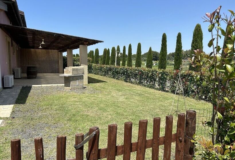 Fattoria Palazzeta Pet & Family Friendly