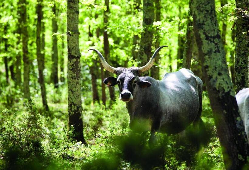 בית מלון כפרי Agriturismo Biologico Sant Egle