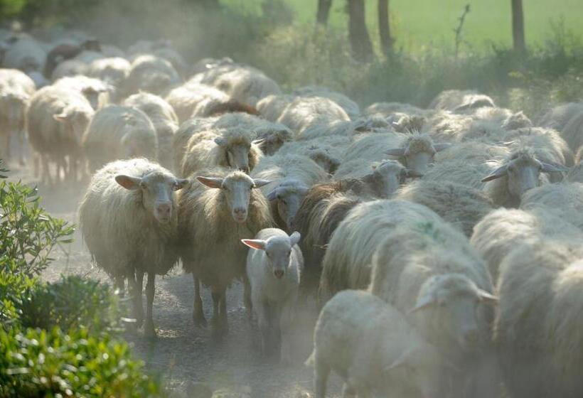 호텔 Agriturismo Biologico Sant Egle