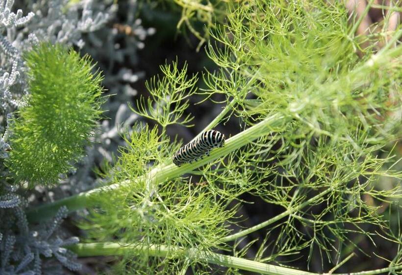 בית מלון כפרי Agriturismo Biologico Sant Egle