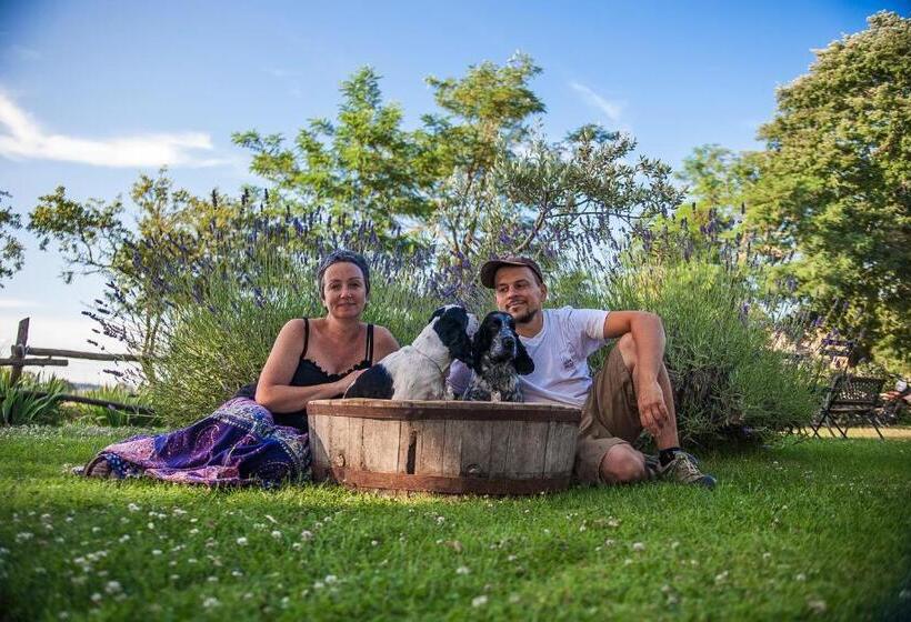 בית מלון כפרי Agriturismo Biologico Sant Egle