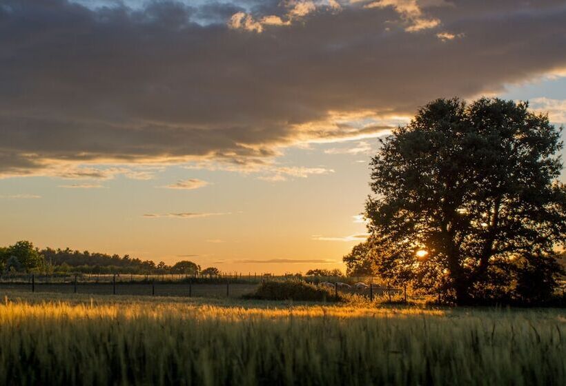 בית מלון כפרי Agriturismo Biologico Sant Egle