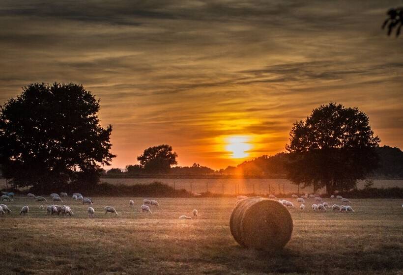 호텔 Agriturismo Biologico Sant Egle