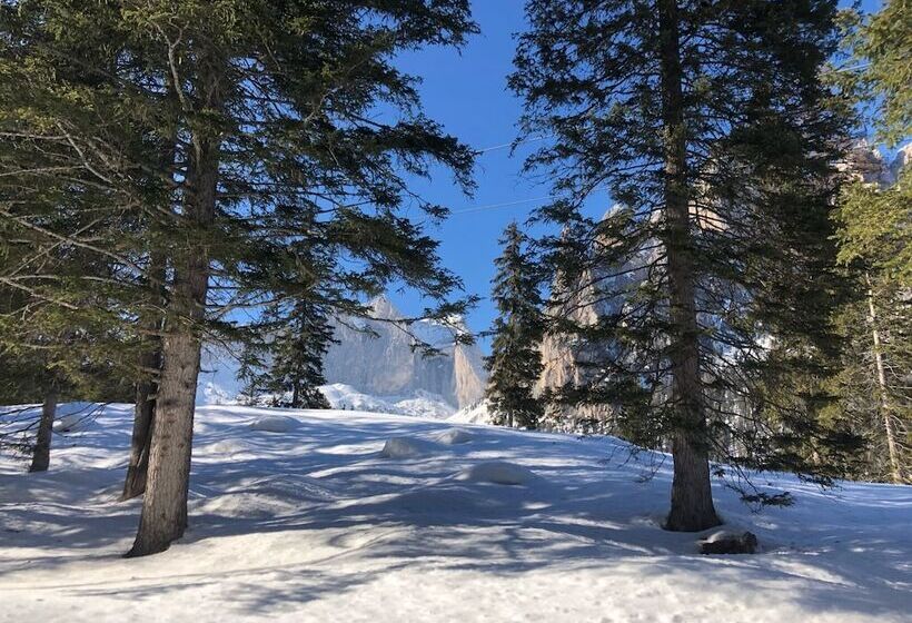 Alpine Touring Hotel Petfriendly