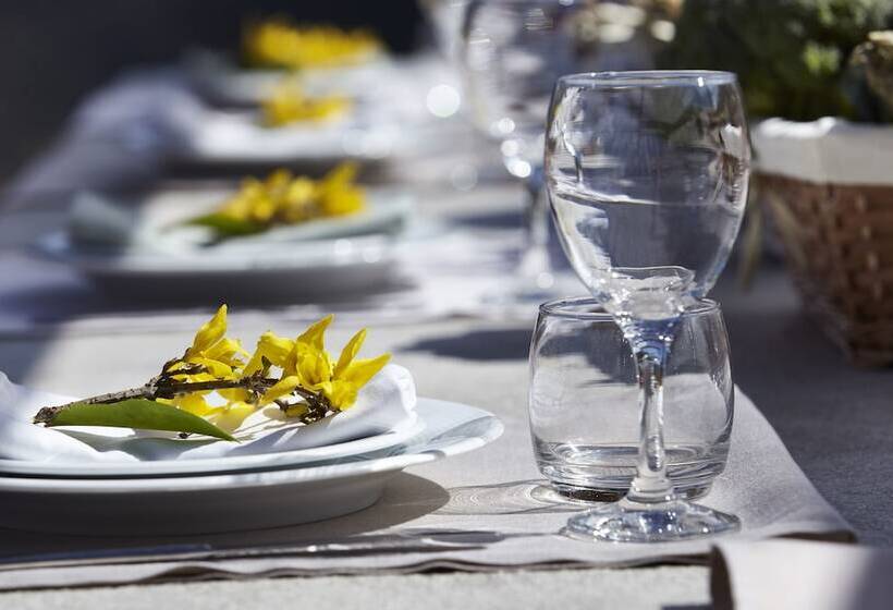 هتل Aristi Mountain Resort