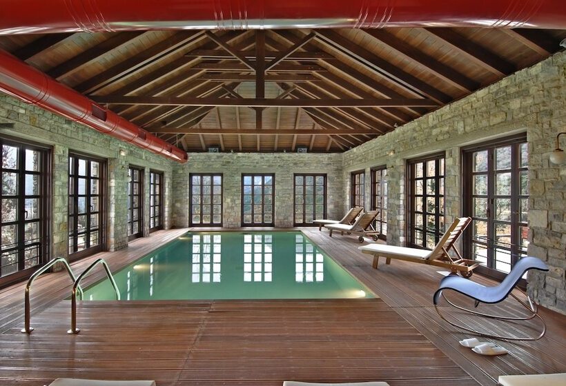 هتل Aristi Mountain Resort