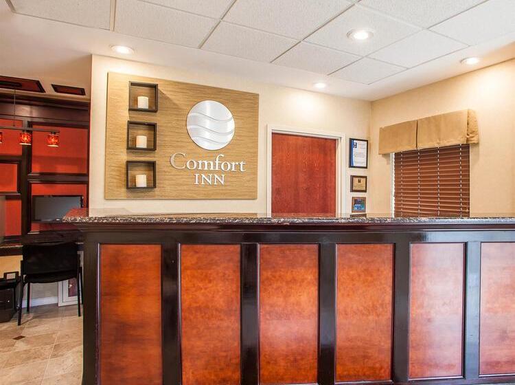 Avon Hotel   Toms River