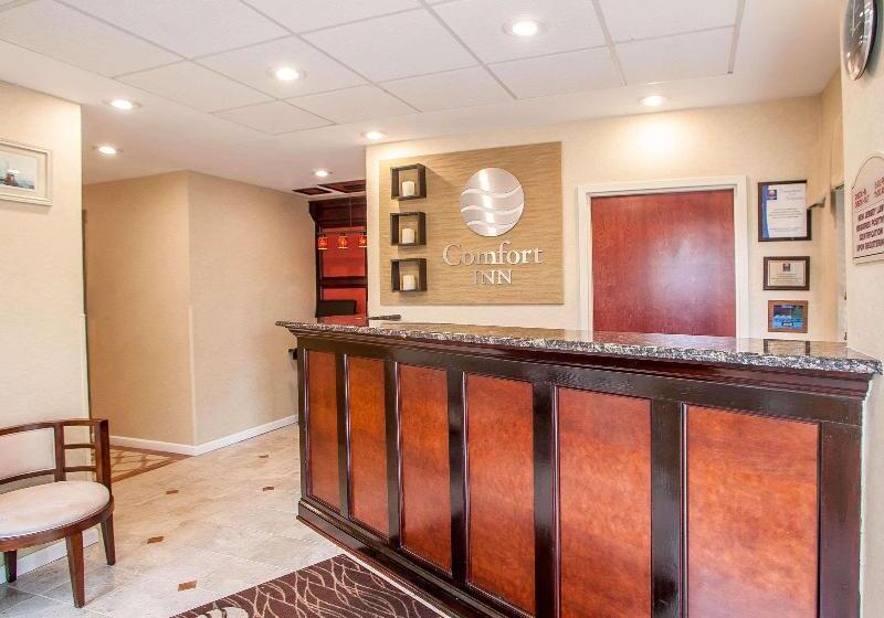 Avon Hotel   Toms River