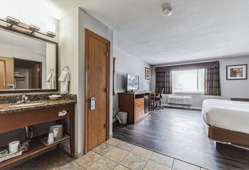 فندق Best Western Alexandria Inn