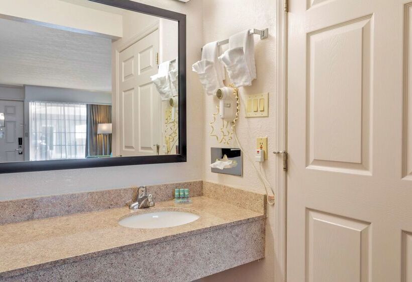 فندق Best Western Hendersonville Inn