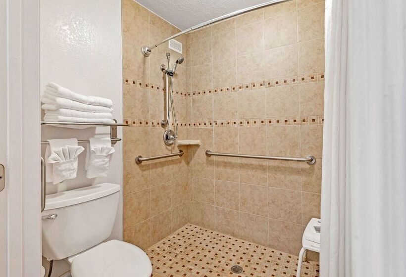 فندق Best Western Hendersonville Inn