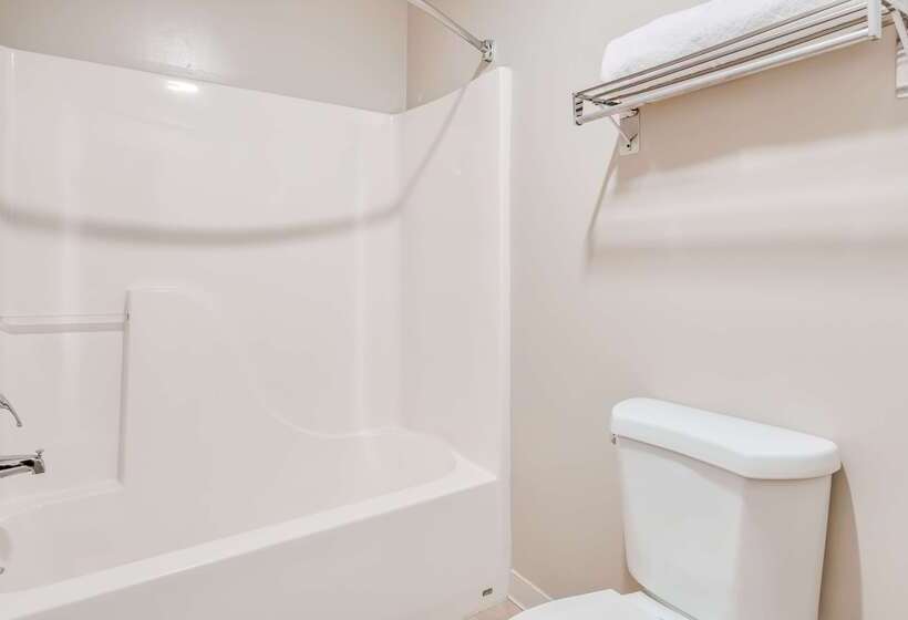 فندق Americinn By Wyndham Birch Run   Frankenmuth